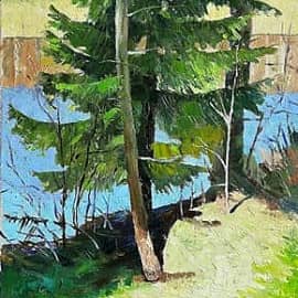 Ель на берегу