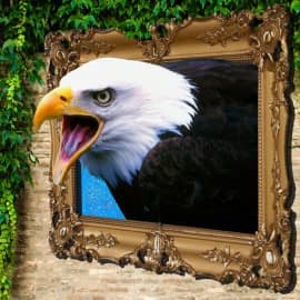 Белоголовый орлан с картины