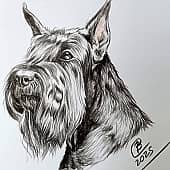 Ризеншнауцер