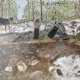 Охота на барсука