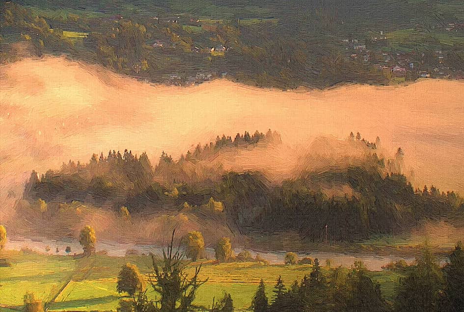 Туман в долине