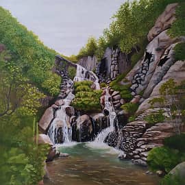 Заповедное Приамурье