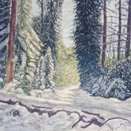 ЛЕСНЫЕ СНЕГИ.