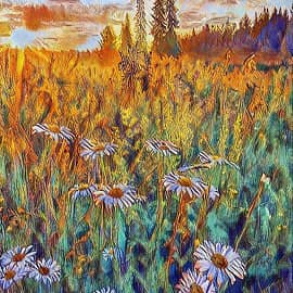 Раз ромашка, два ромашка.