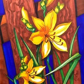 Лилейник. Скетч.