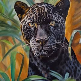 Чёрный леопард