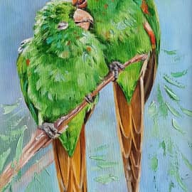 Неразлучники