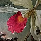 Белая бразильская орхидея (5), художник Марина Черотченко