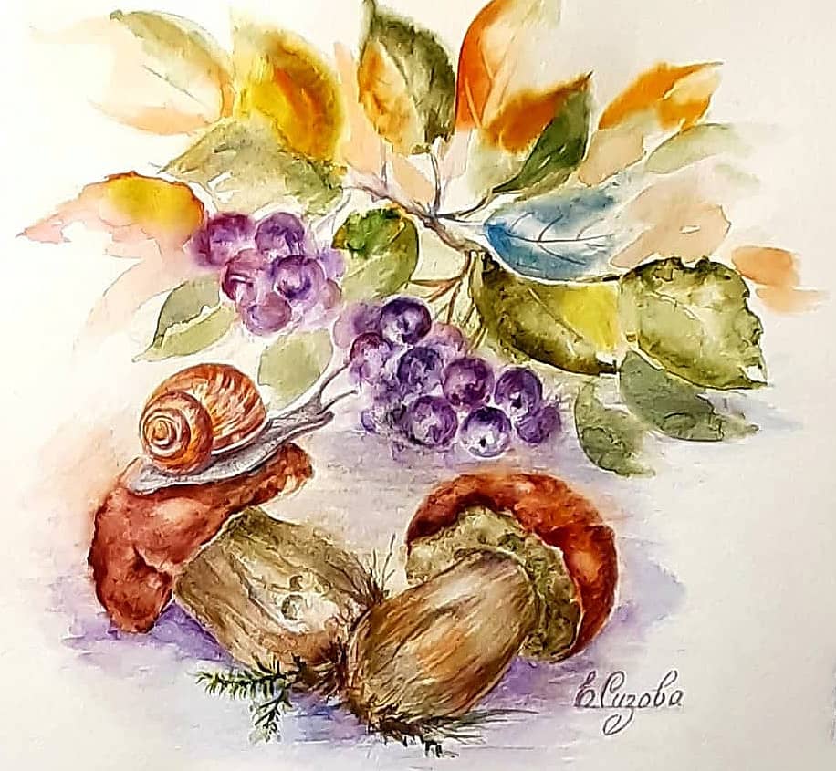 Грибы, ягоды