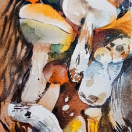 Радости сентября.