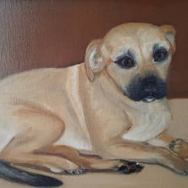 Щенок Ка-де-бо