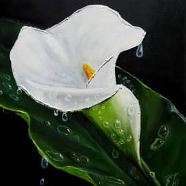 Цветок каллы