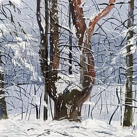 Зима в "языческой" роще