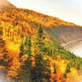 осенний берег,2