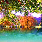 Солнечный берег.