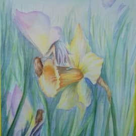 Нарцисс и феи