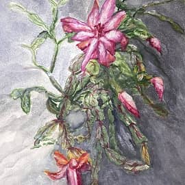 Рождественник