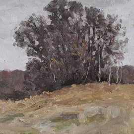 Ноябрьский этюд