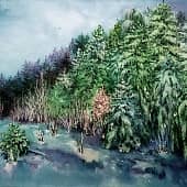 Заснеженный лес. Не  рубите, а берегите его!, художник Татьяна ТаК