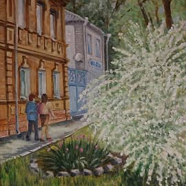 Пятигорск. Спирея цветёт.