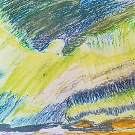 Птица в Небе