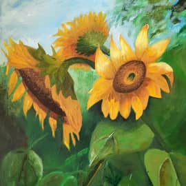 Подсолнечник