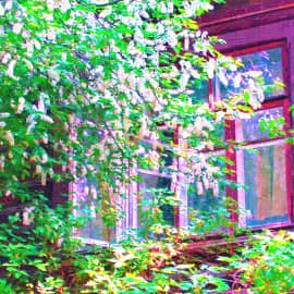 весна стучит в окно