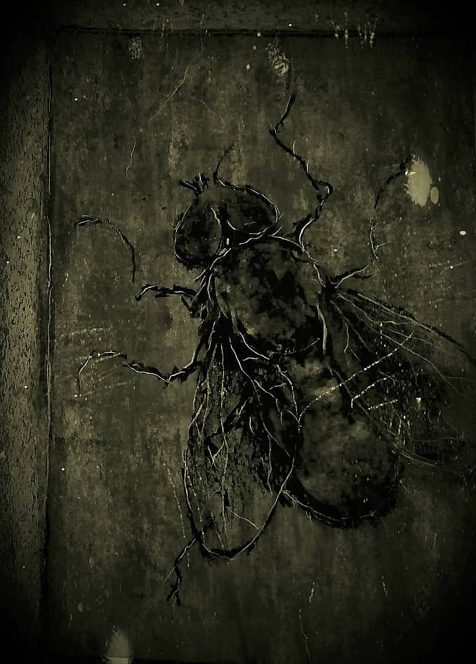 "Сожительница"