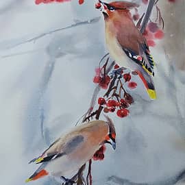 Птички. Зима