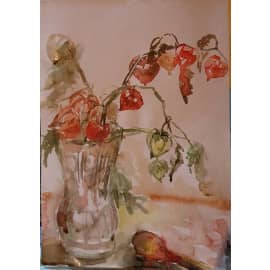 Натюрморт с физалисом