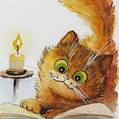 Открытка с котом 1