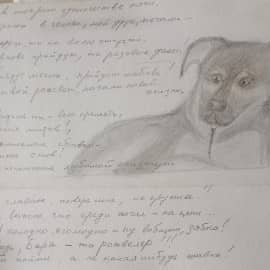 Стишок собачке Барри