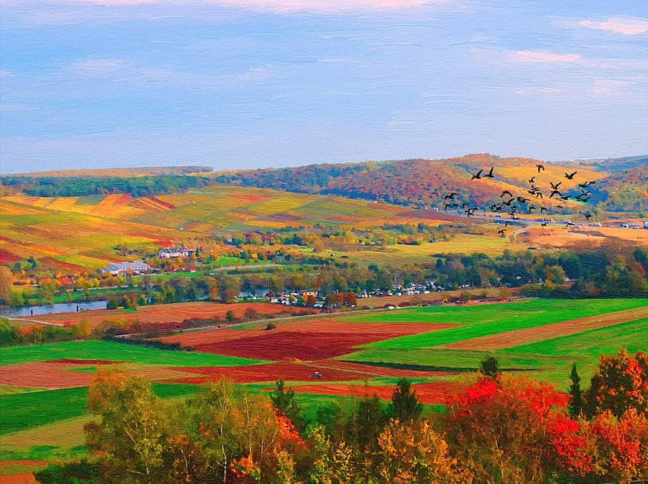 Краски осени.