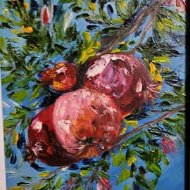 Ветка граната