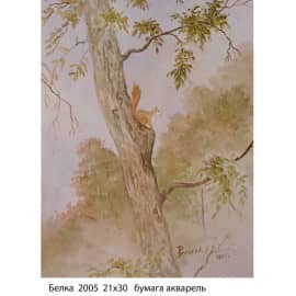 Белка  2005  21х30   бумага акварель