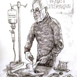 Кастрация кота Василия (настоящее имя  Карло Броски,он же Фаринелли)