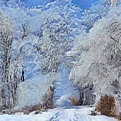 Снежная дорога.