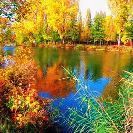 По осеннему берегу.