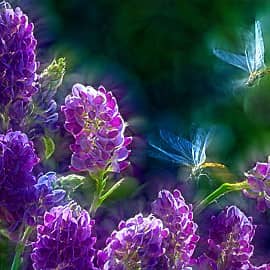 Абстракция 0134