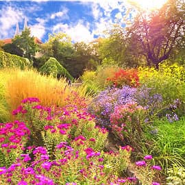 в осеннем саду