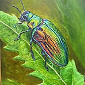 "Радужный жук " ( доделала) (1), художник Маргарита