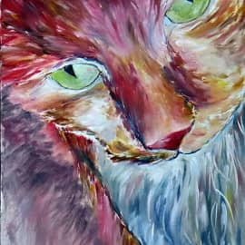 Серьезный котэ