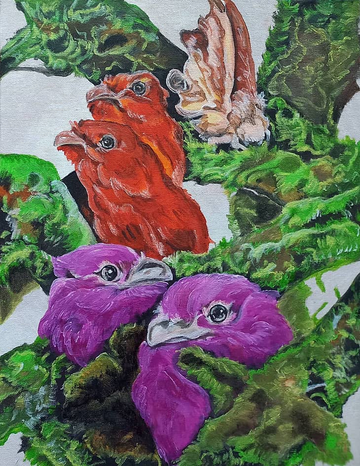 Сон о птицах. Разноцветие.