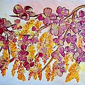 Веточка цветущего барбариса