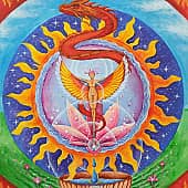 Код Силы для Мэй