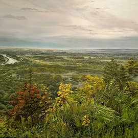 После дождя