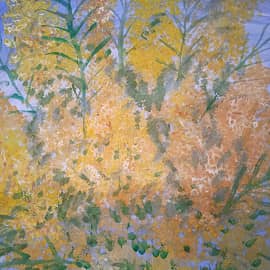 Расцвела мимоза