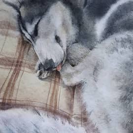 Картина дня