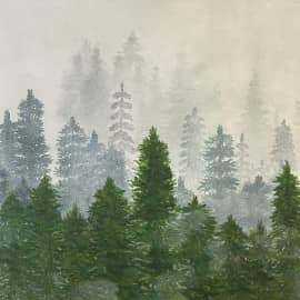 Лес в тумане