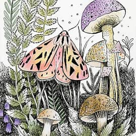 Осеннее утро